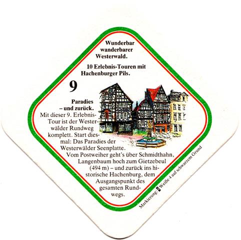 hachenburg ww-rp hachenburger wandern 10b (raute185-9 paradies) 
